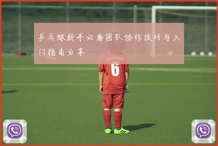 乒乓球新手必看团队协作技巧与入门指南分享