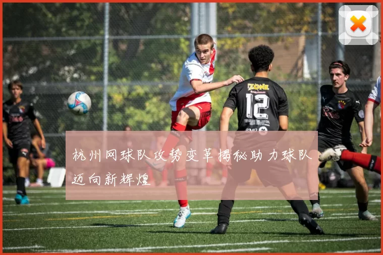 杭州网球队攻势变革揭秘助力球队迈向新辉煌