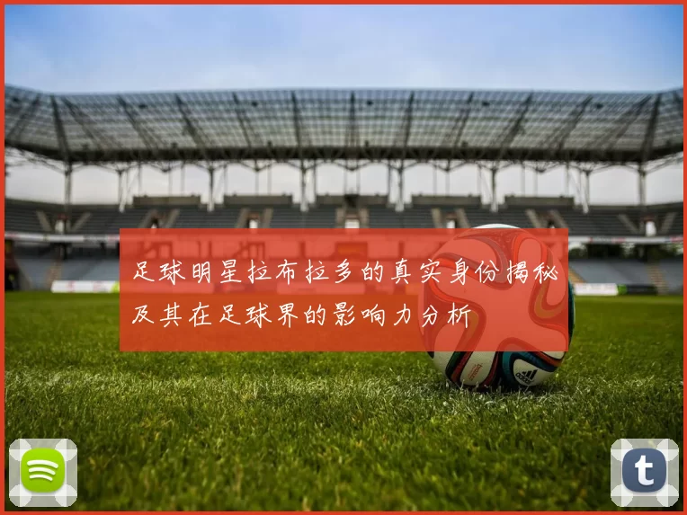 足球明星拉布拉多的真实身份揭秘及其在足球界的影响力分析