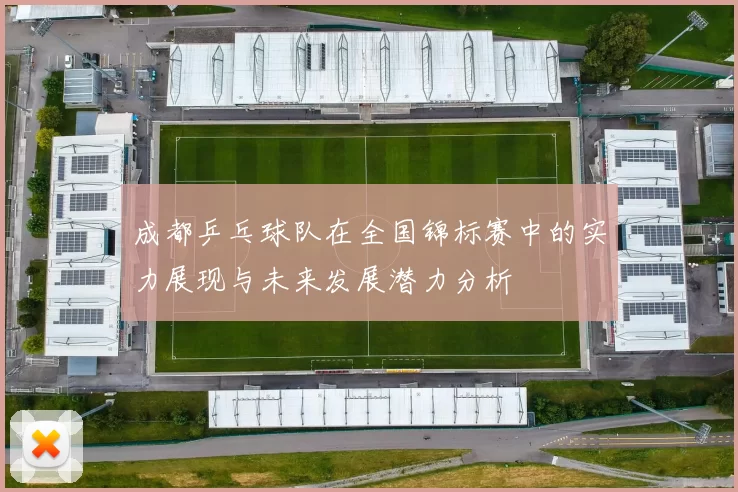 成都乒乓球队在全国锦标赛中的实力展现与未来发展潜力分析