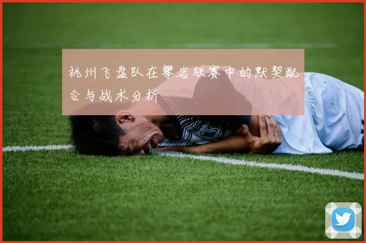 杭州飞盘队在攀岩联赛中的默契配合与战术分析