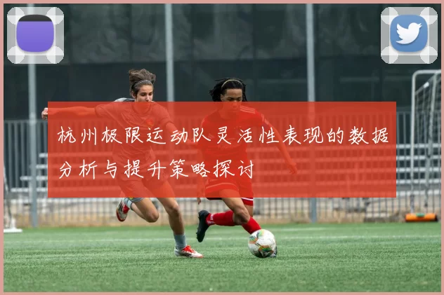 杭州极限运动队灵活性表现的数据分析与提升策略探讨