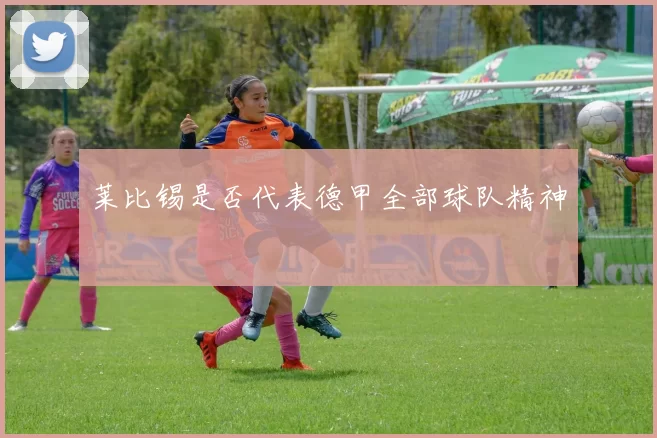 莱比锡是否代表德甲全部球队精神