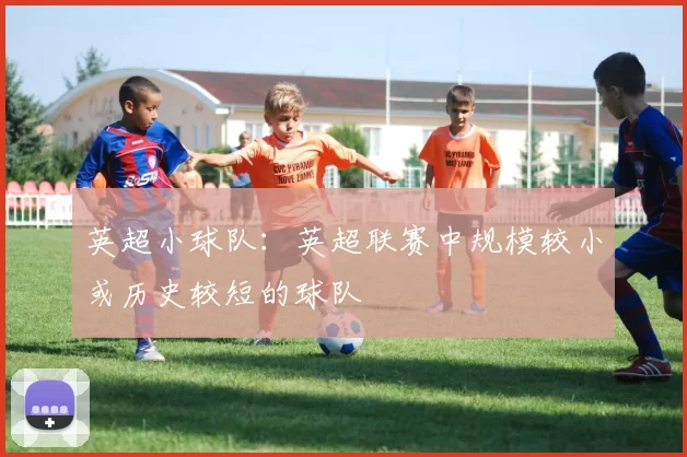 英超小球队：英超联赛中规模较小或历史较短的球队