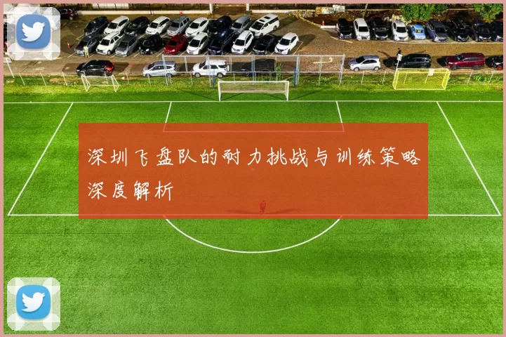 深圳飞盘队的耐力挑战与训练策略深度解析