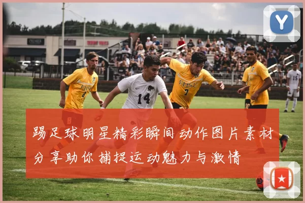 踢足球明星精彩瞬间动作图片素材分享助你捕捉运动魅力与激情