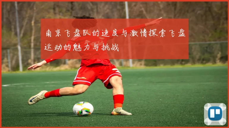 南京飞盘队的速度与激情探索飞盘运动的魅力与挑战