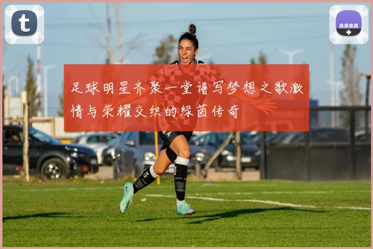 足球明星齐聚一堂谱写梦想之歌激情与荣耀交织的绿茵传奇