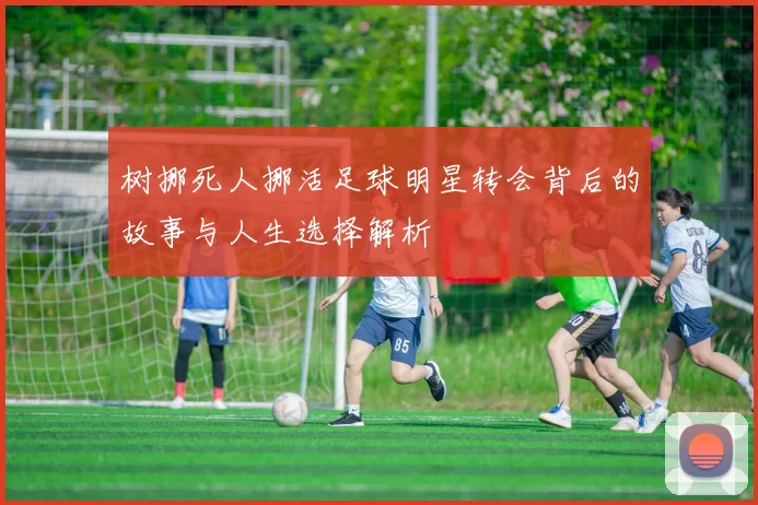 树挪死人挪活足球明星转会背后的故事与人生选择解析