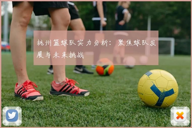杭州篮球队实力分析：聚焦球队发展与未来挑战