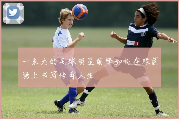 一米九的足球明星前锋如何在绿茵场上书写传奇人生