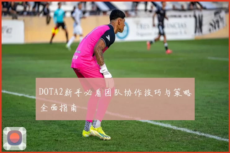 DOTA2新手必看团队协作技巧与策略全面指南