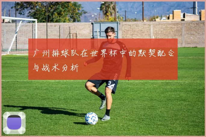 广州排球队在世界杯中的默契配合与战术分析