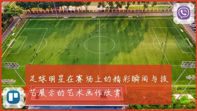 足球明星在赛场上的精彩瞬间与技艺展示的艺术画作欣赏